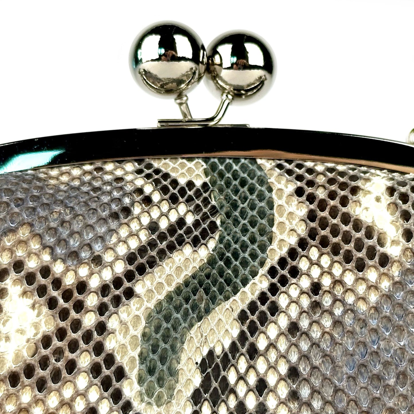 Rock Python Bag