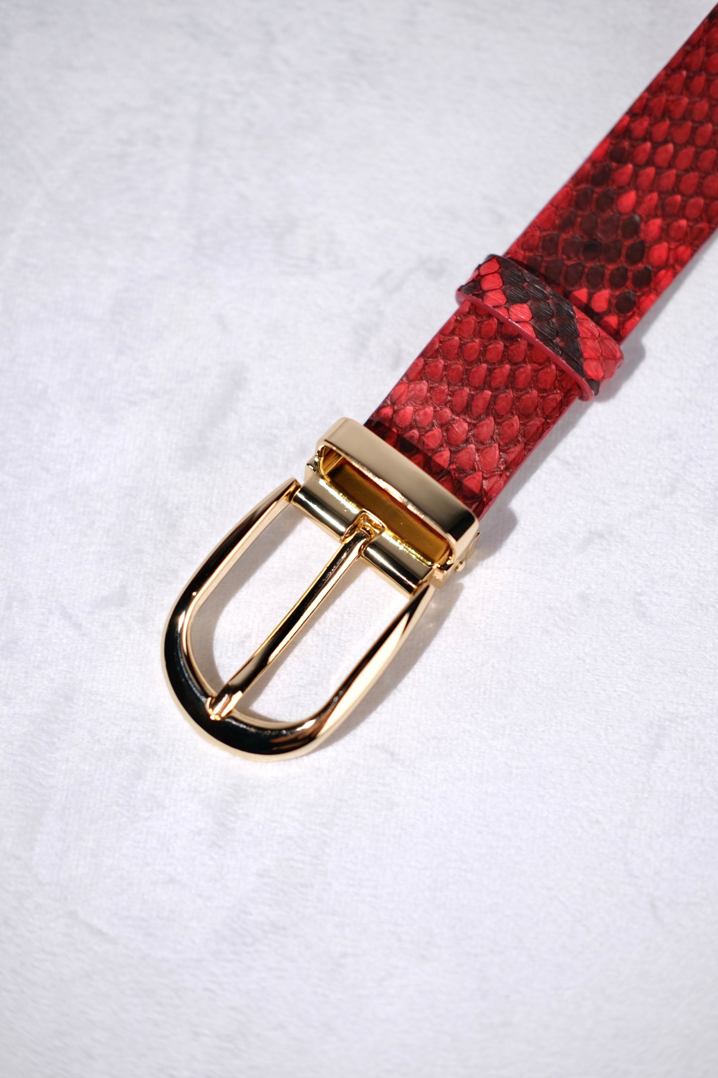 Red Python Belt