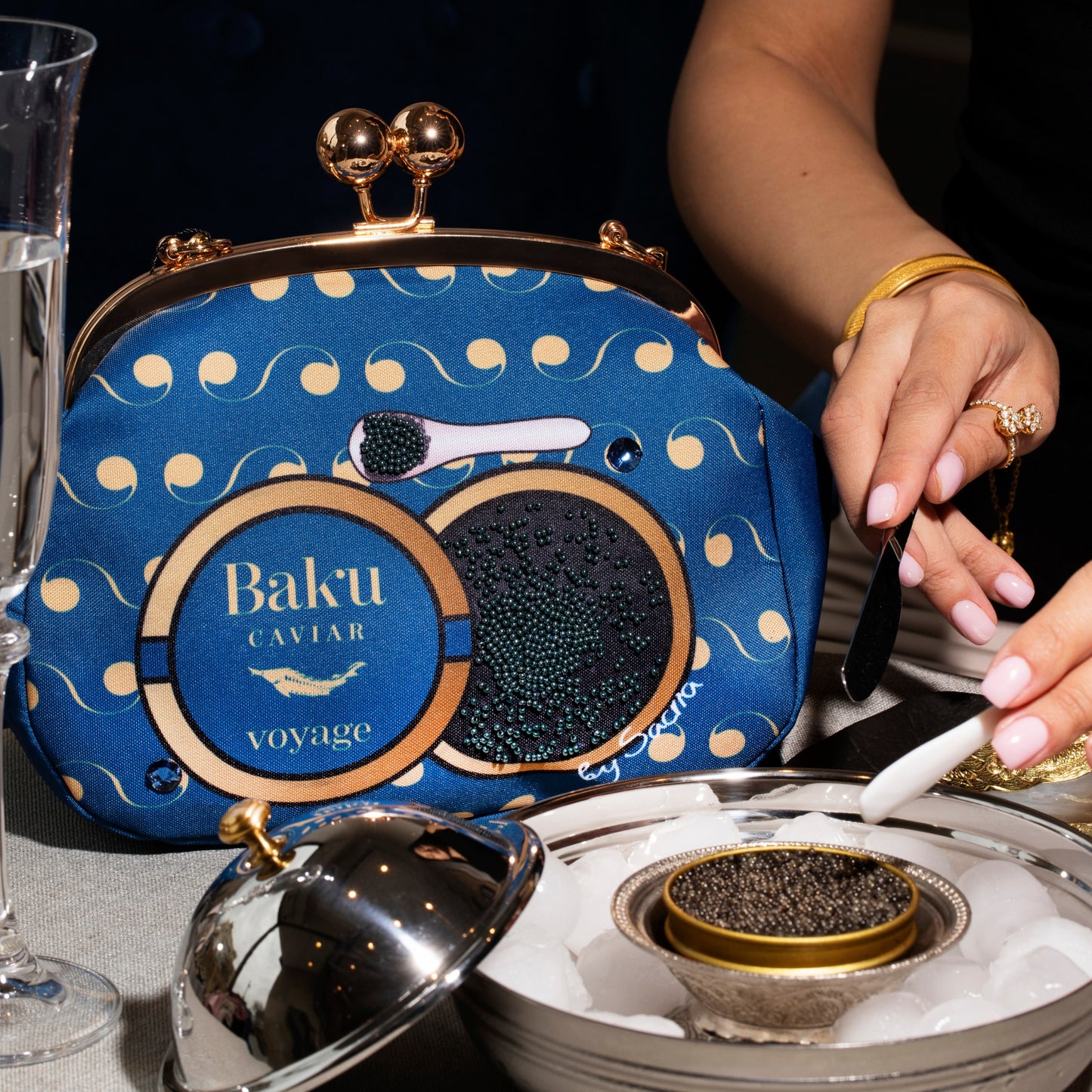 Black Pearls Bag